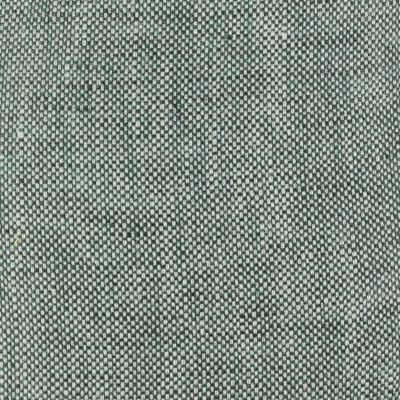 vert menthe